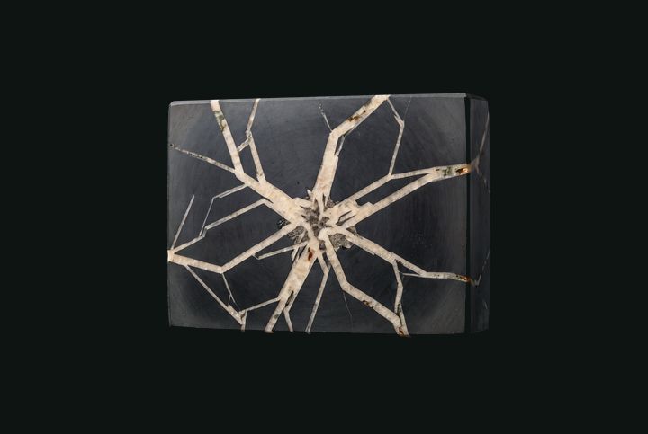 A branching crystalline structure embedded in a graphite cross-section.